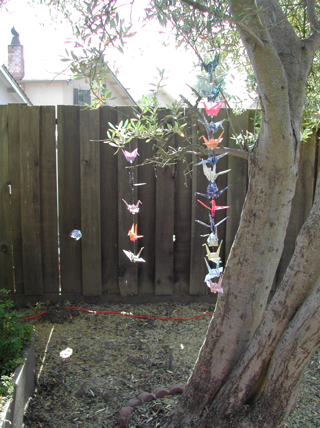 DSCN5566.JPG