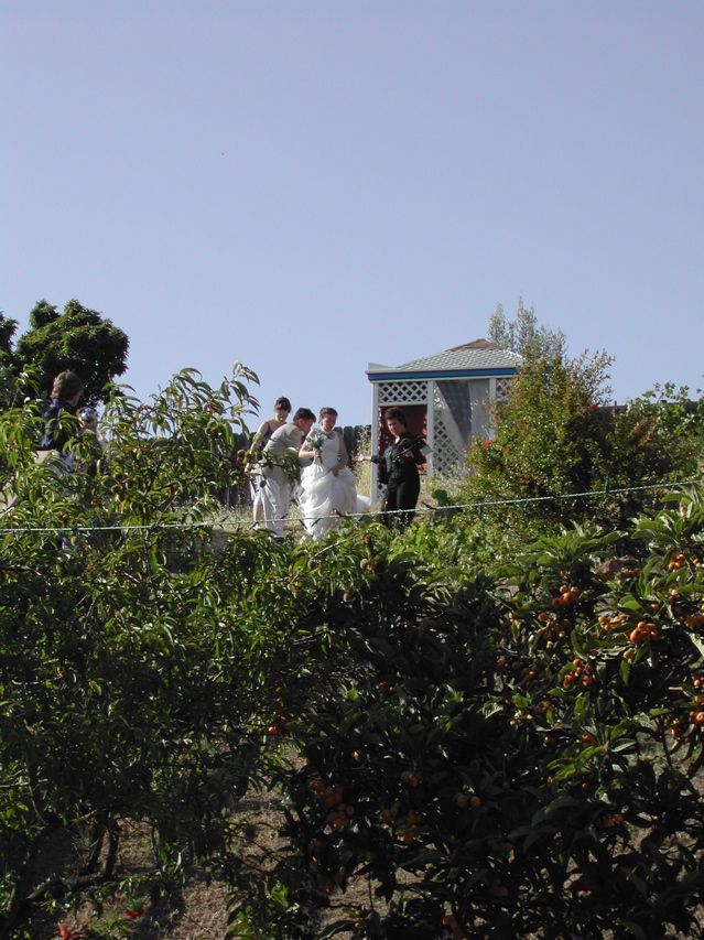 DSCN5589.JPG