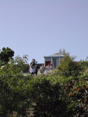 DSCN5587.JPG