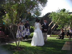 DSCN5602.JPG