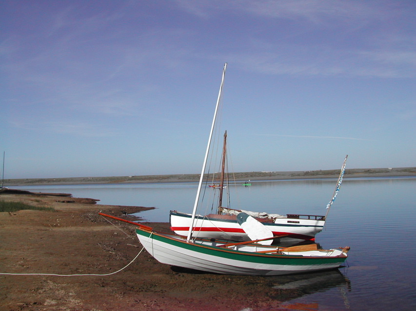 DSCN8121.JPG