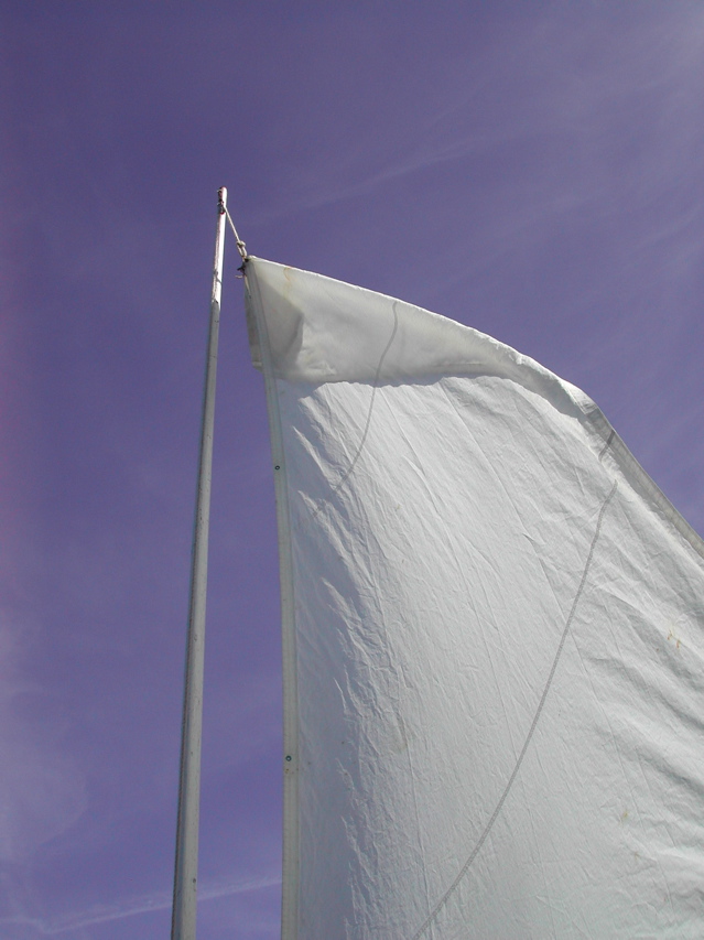 DSCN8123.JPG