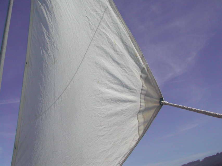 DSCN8124.JPG